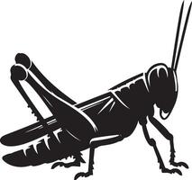 Grasshopper silhouette, Grasshopper illustration, Grasshopper isolated on white background vector