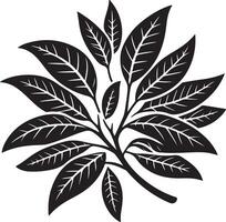 Mango fruit with branch and leaves silhouette isolated on white background. Mango icon illustration design vector