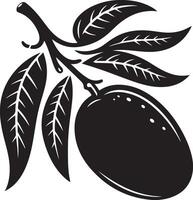 Mango fruit with branch and leaves silhouette isolated on white background. Mango icon illustration design vector