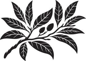 Mango fruit with branch and leaves silhouette isolated on white background. Mango icon illustration design vector