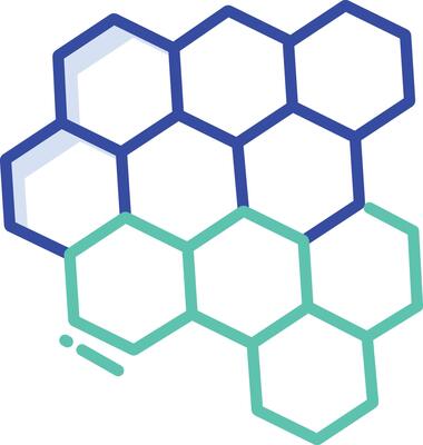 honey comb outline color illustration