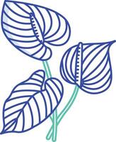 Anthurium flower outline color illustration vector