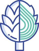 Artichoke slice outline color illustration vector