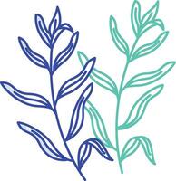 Tarragon outline color illustration vector