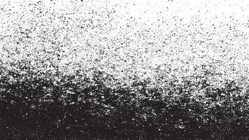 Graphic of Intense Black Grit Texture with Subtle Variations on White vector