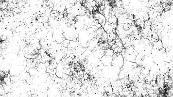 Intricate Black Monochrome Overlay with Abstract Grunge Gritty Art Texture on White Background vector