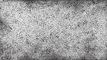 High-Resolution Black and White Distressed Grunge Background Texture with Rich Detail vector