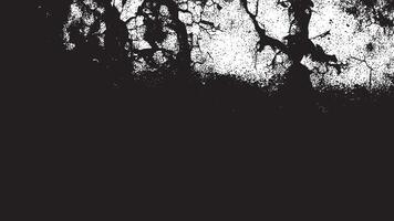 Black and White Gritty Grunge Texture with Fine Details and Delicate Patterns vector