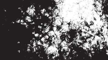 Black and White Gritty Grunge Texture with Fine Details and Delicate Patterns vector