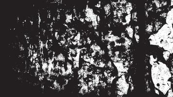 Black and White Gritty Grunge Texture with Fine Details and Delicate Patterns vector