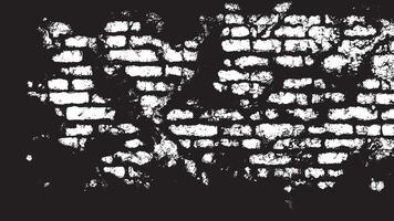 Fine Grain Monochrome Grunge Overlay Texture with Subtle Distress and Intricate Patterns vector