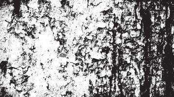Black and White Gritty Grunge Texture with Fine Details and Delicate Patterns vector