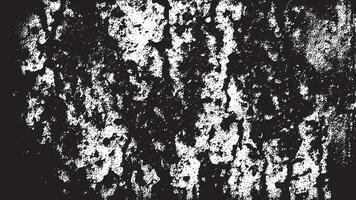 Fine Grain Monochrome Grunge Overlay Texture with Subtle Distress and Intricate Patterns vector