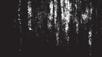 Intricate Grunge Overlay texture in Monochrome with High Contrast vector