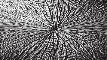 Rough and Gritty Black Grunge Pattern on White Background - High-Resolution vector
