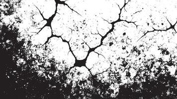 Black Gritty and grunge Monochrome Overlay Texture on White Background for backgrounds grunge texture effect and designs, grunge black and white texture effect for background vector