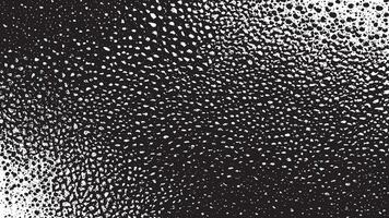 Black Gritty and grunge Monochrome Overlay Texture on White Background for backgrounds grunge texture effect and designs, grunge black and white texture effect for background vector