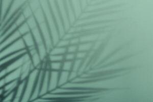 Natural palm leaves shadow on gradient paper background. Abstract blue and mint tropical backdrop. Soft light photo