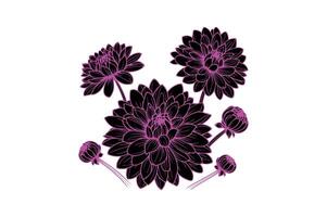 a row of dahlia with open illustration vector