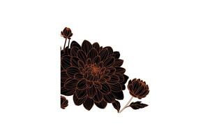 a row of dahlia with open illustration vector