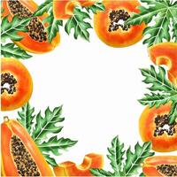 Marker frame and templates with sweet ripe slice of papaya with grains in watercolor style. Hand drawn realistic tasty organic illustration of exotic tropical fruit isolated on background. For vector