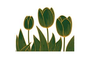 a row of tulip with open illustration vector