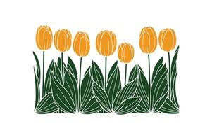 a row of tulip with open illustration vector