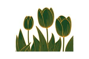 a row of tulip with open illustration vector