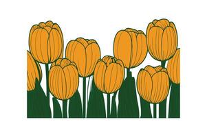 a row of tulip with open illustration vector