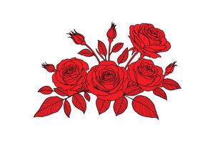 a row of roses with open illustration image vector