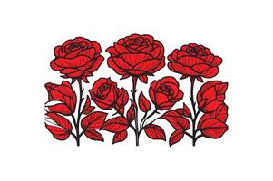 a row of roses with open illustration image vector