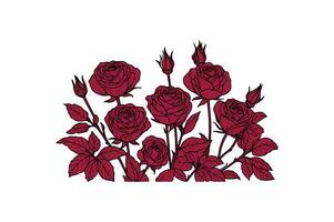 a row of roses with open illustration image vector