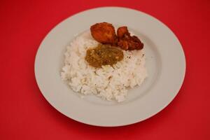 Rice with fried chicken and sambal in a white plate on a red background photo