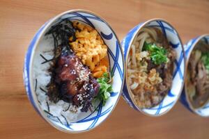 Each bowl contains different ingredients such as meats, vegetables, and rice, garnished with green herbs photo