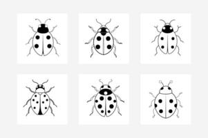 High-quality illustrations of ladybugs in various poses and styles. vector