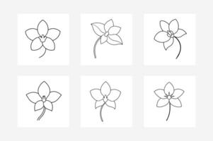 Elegant orchid flower illustrations in various styles and formats. vector