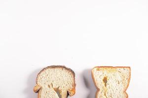 fresh bread inside white background photo