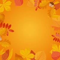 autumn banner. Autumn falling leaves. Empty frame. Autumn background. vector