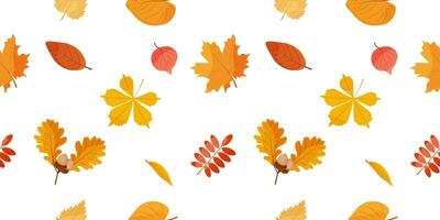 Seamless autumn pattern. Falling autumn leaves. In autumn, different leaves and plants, seasonal colors. Seamless background of leaf fall. Autumn pattern. illustration vector