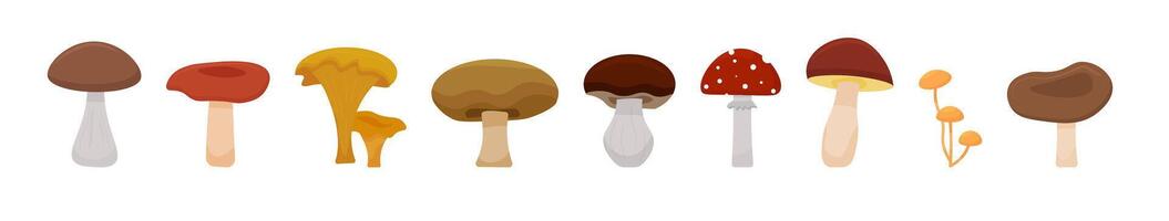 An array of handdrawn mushrooms with a variety of shapes and colors creates a vibrant and artistic appearance vector