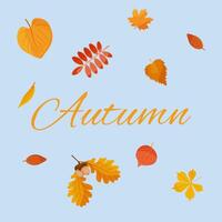 illustration of autumn falling leaves. Autumn foliage is falling. Autumn design. Templates for posters, banners, flyers, presentations. Autumn background. vector