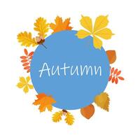 blue round frame with autumn leaves around. Design for greeting card, hello autumn, Thanksgiving. illustration vector