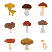 a set of different mushrooms on a white background. illustration vector