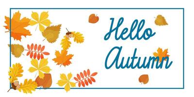 autumn layout. the phrase Hello autumn and autumn leaves on a white background. vector