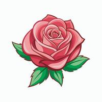 Rose flower on white background vector