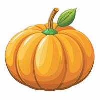 Pumpkin on white background vector