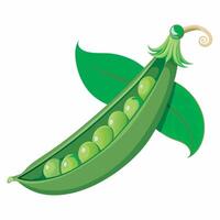 Realistic green peas on white background vector