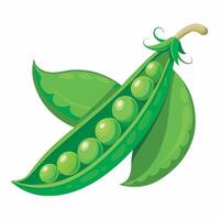 Realistic green peas on white background vector