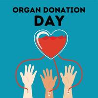 World donation day template design vector