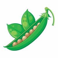Realistic green peas on white background vector